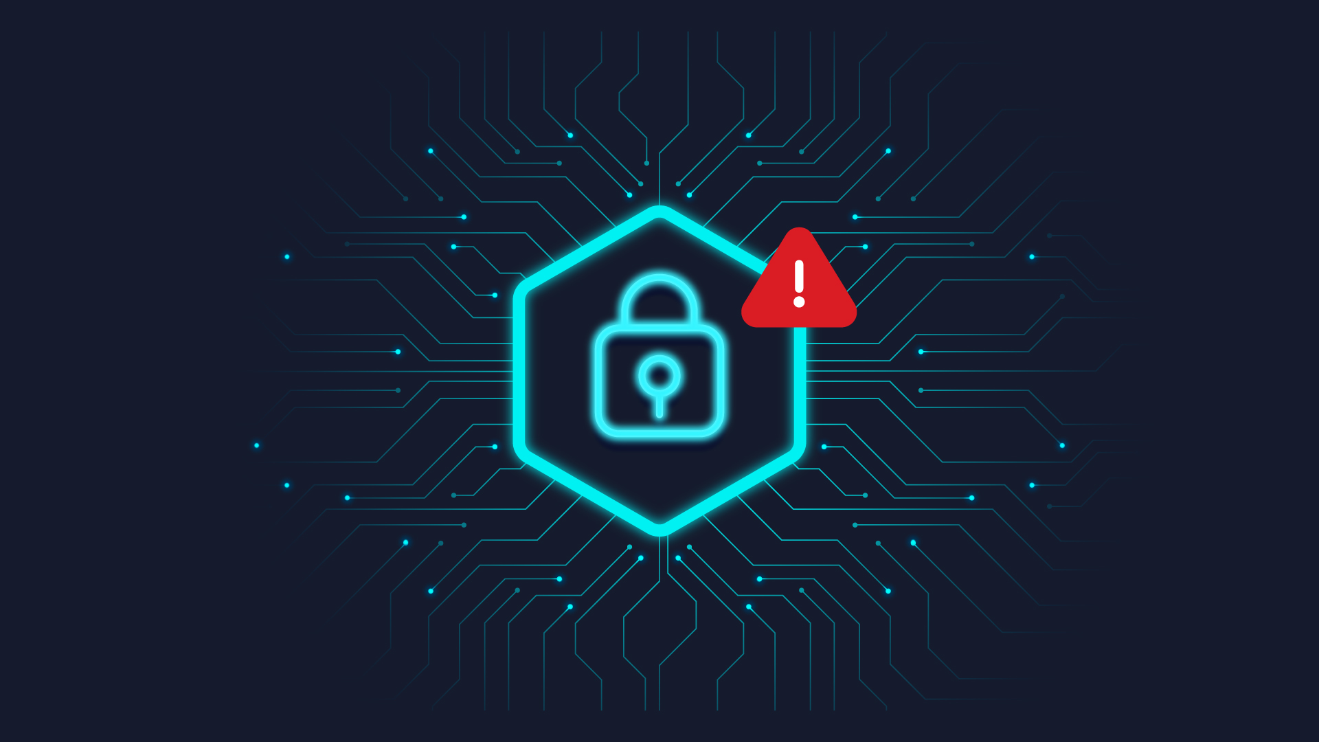 Data Security and Protection